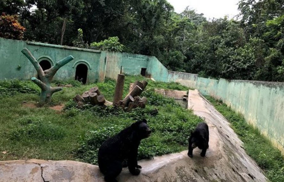 Sipahijola Wildlife Sanctuary, Sepahijala, Tripura - Vushii.com Sipahijola Wildlife Sanctuary, Sepahijala, Tripura - Vushii.com